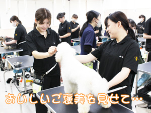 1年生が継続してステイの練習！